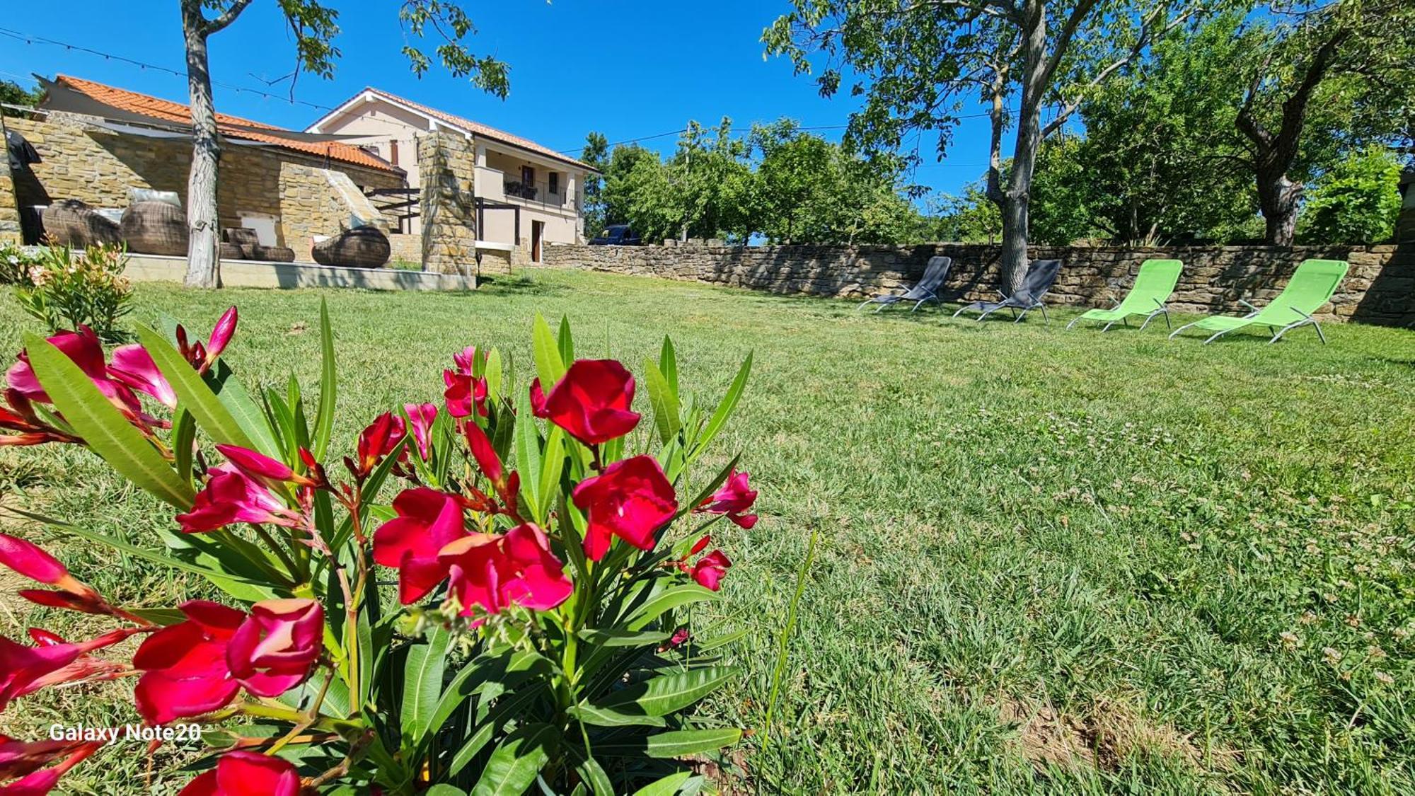 Hisa Kapis With Hot Tube Apartamento Koper Exterior foto